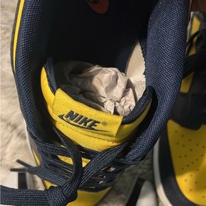 Michigan Dunks